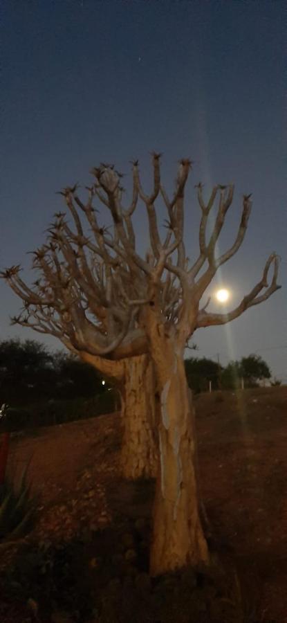 Апартаменты Pureplaas Self Catering Volmoed Oudtshoorn Klein Karoo Экстерьер фото